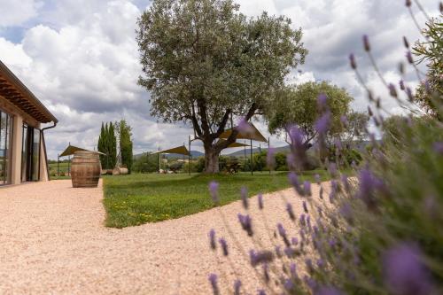 a garden with purple flowers in front of a building at Locanda dell'Aioncino in Bibbona