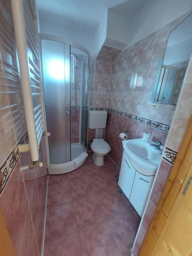 a bathroom with a toilet and a shower and a sink at Casa Tamara in Bran