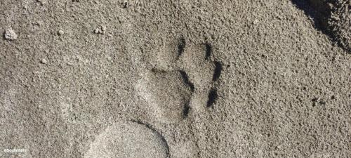 a pair of footprints in the sand at ONENESS Rishikesh by Ganga Kinare - A Luxury Wilderness Resort in Rishīkesh