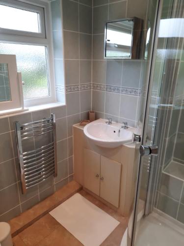 a bathroom with a sink and a shower at Croak Cottage, Frogmore in South Pool