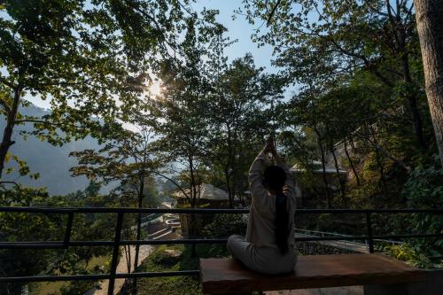 a woman sitting on a bench looking up at the trees at ONENESS Rishikesh by Ganga Kinare - A Luxury Wilderness Resort in Rishīkesh