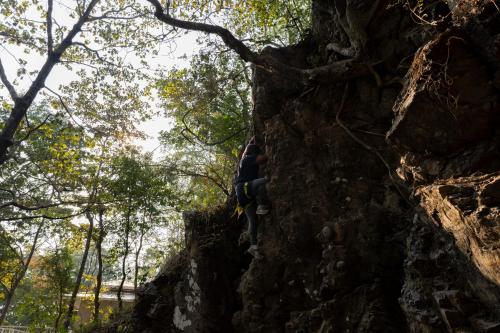 a person is climbing a tree in the forest at ONENESS Rishikesh by Ganga Kinare - A Luxury Wilderness Resort in Rishīkesh