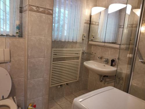 ein Badezimmer mit Toilette und Waschbecken in der Unterkunft 123-Zimmerverleih Mosbach in Mosbach