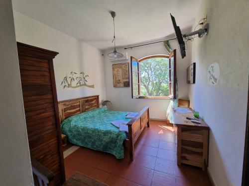 1 dormitorio con cama, mesa y ventana en Agriturismo Le Rondini Di San Bartolo, en San Vincenzo