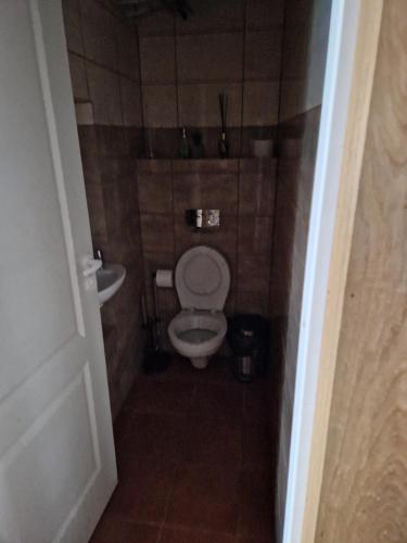 a small bathroom with a toilet and a sink at Piligrimo sodyba in Kadarės