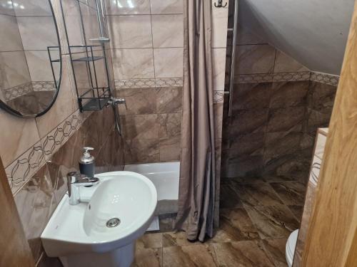 a bathroom with a sink and a shower and a toilet at Piligrimo sodyba in Kadarės