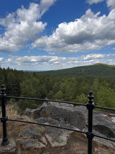 a view of the woods from the top of a mountain at Vila v Brdech s bazénem, infra saunou a vybavením in Malá Víska