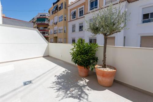 two plants in pots sitting on a balcony at Reina Victoria Velázquez in Alicante