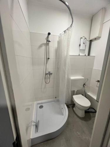 ein weißes Bad mit einer Dusche und einem WC in der Unterkunft Neuwertiges Apartment mit schnellem WLAN, Glasfaser, Kostenlose Privatparkplatz auch für Transporter geeignet R25 in Freiberg am Neckar