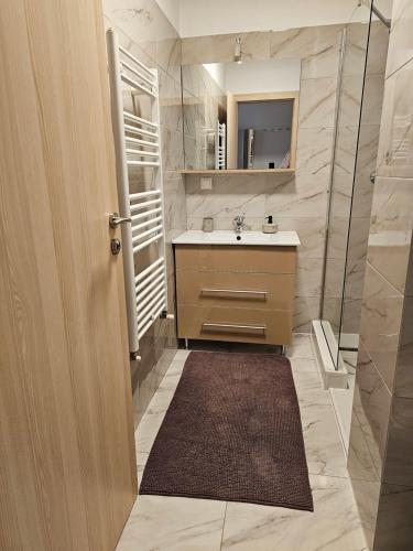 uma casa de banho com um lavatório, um espelho e um chuveiro em Nana Apartaments em Cluj-Napoca