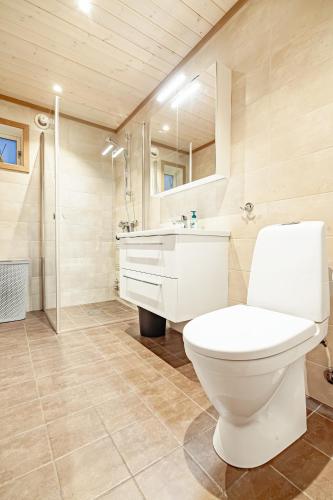a bathroom with a toilet and a sink and a shower at Beautiful mountain View Cabin in Lofoten in Pettvik