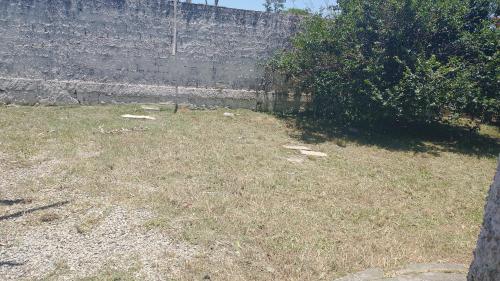 une zone herbeuse avec un mur et un arbre dans l'établissement Casa de praia, à Florianópolis