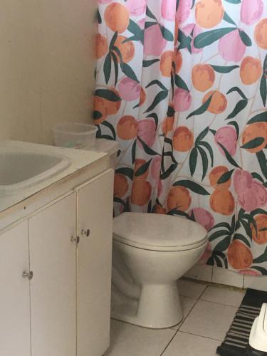 een badkamer met een toilet en een douchegordijn bij Fran&EmmaIII in Temuco
