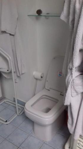 a bathroom with a white toilet in a room at Jolie maison modulable de 4 à 6 lits avec jardinet in Irigny