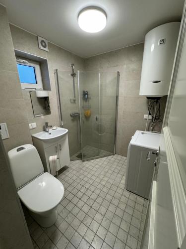 的住宿－Teenuse loft，浴室配有卫生间、淋浴和盥洗盆。