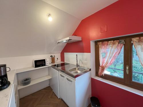 une petite cuisine avec un évier et un mur rouge dans l'établissement Le studio de Mamy Jacquotte Centre Cour-Cheverny, à Cour-Cheverny