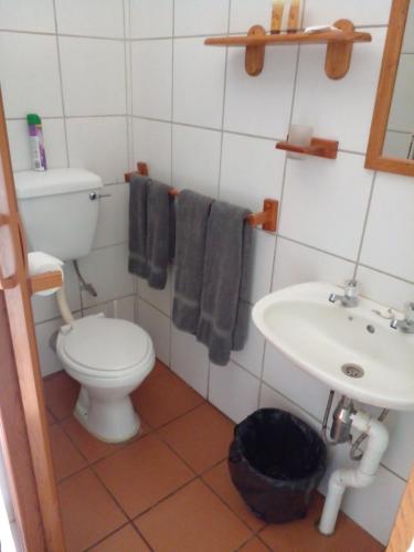 a bathroom with a toilet and a sink at HLULALA GUEST HOUSE in Hluhluwe