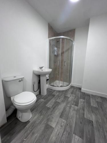 La salle de bains est pourvue de toilettes, d'une douche et d'un lavabo. dans l'établissement Labyrinth By Habitat101, à Stockton-on-Tees