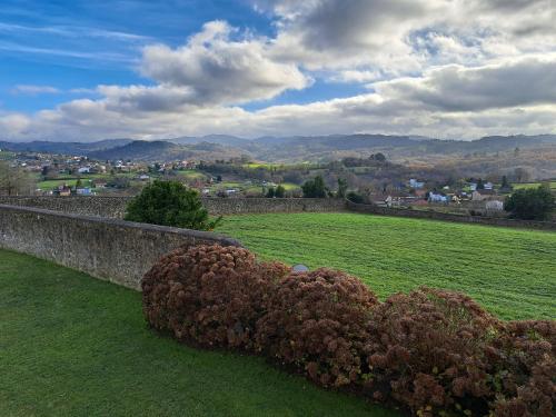 a large green field with a retaining wall and a bush at Palacio Marqués Vega de Anzo - Villa de campo sXVII in Siero
