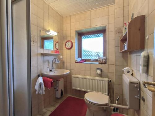 a small bathroom with a toilet and a sink at Ferienwohnung Ruthenberg in Kronsgaard