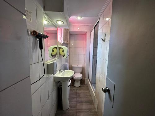 a small bathroom with a toilet and a sink at Enjoy Hostel in Santiago