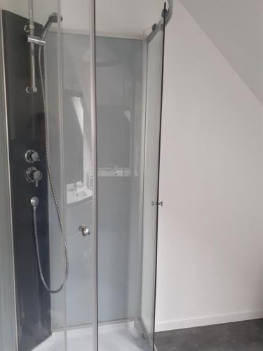 a shower with a glass door with a sink at Gite à la ferme du chateau in Saint-Dolay