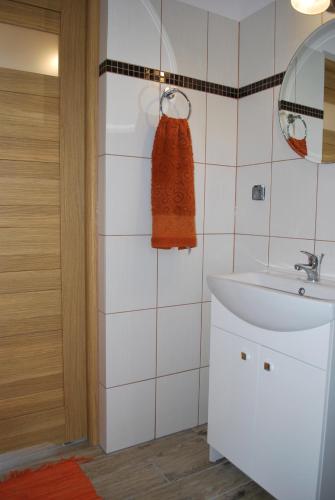 a bathroom with a sink and a mirror at 11 Maków in Mielenko