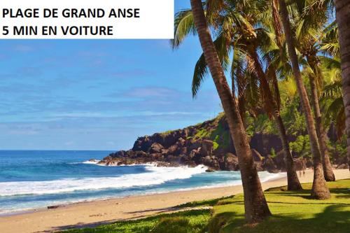 a beach with a group of palm trees and the ocean at Les lataniers 2 - Vue sur mer in Saint-Pierre