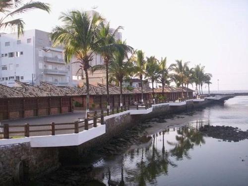 a river with palm trees next to a building at Kitnet Cantinho 26 in Mongaguá
