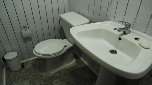 y baño con aseo blanco y lavamanos. en Lan Küyen, en Quellón