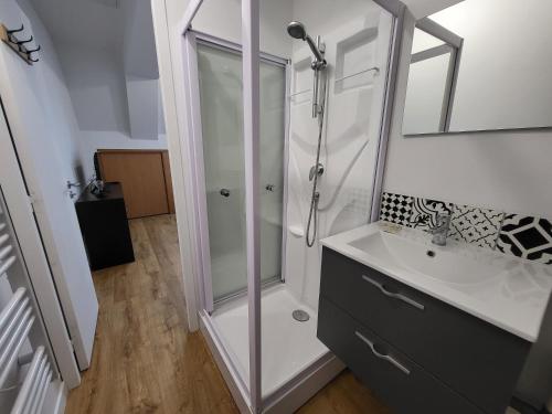 une salle de bain blanche avec une douche et un lavabo dans l'établissement Châteaubourg : Studio avec cuisine et salle d'eau, à Châteaubourg