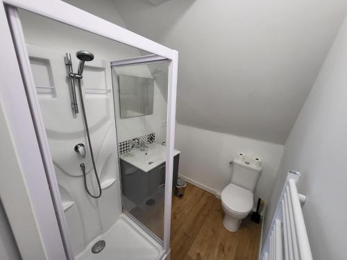 une salle de bain blanche avec douche et toilettes dans l'établissement Châteaubourg : Studio avec cuisine et salle d'eau, à Châteaubourg