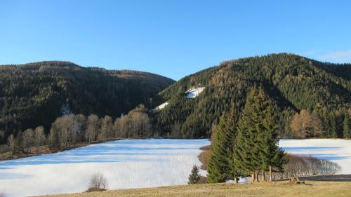 a lake in the middle of a mountain at Feriendorf Gebirgshof Salomon in Krakaudorf