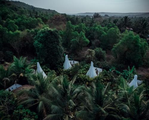 an aerial view of a jungle with trees and white tents at Wigwam in Mandrem