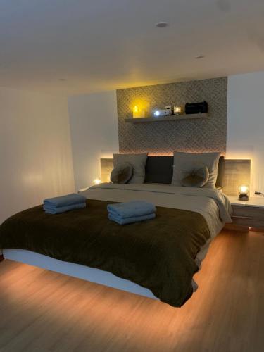 a bedroom with a large bed with two pillows at Appartement T2 cosy (aéroport - parc des expo - parc Astérix) in Tremblay En France