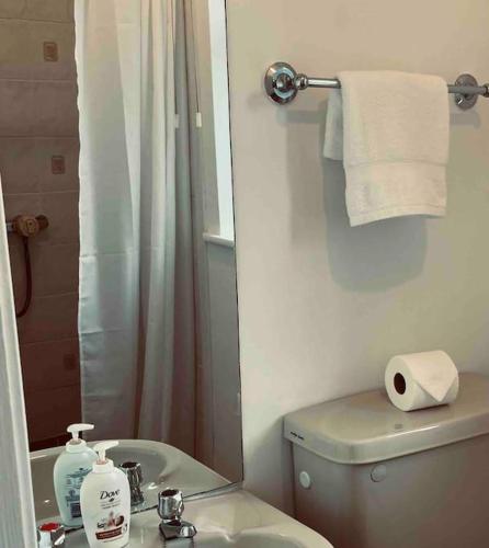 a bathroom with a toilet and a sink and a mirror at Wonderful Town House where Irelands current President Connolly has stayed while visiting town in Killarney