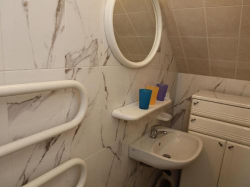 ein Bad mit einem Waschbecken und einem Spiegel in der Unterkunft Apartment in Rowy with a garden in Rowy