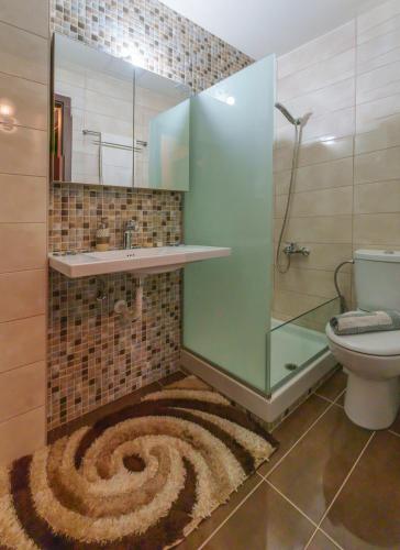 a bathroom with a shower and a sink and a toilet at Petrino House Lasithi in Agios Georgios