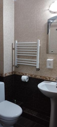a bathroom with a toilet and a sink and a mirror at Domino in Berehove