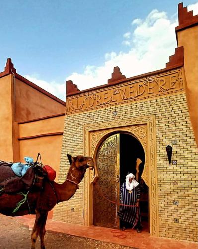 a camel standing outside of a building with a man in the doorway at Riad Belvedere in Ouzina