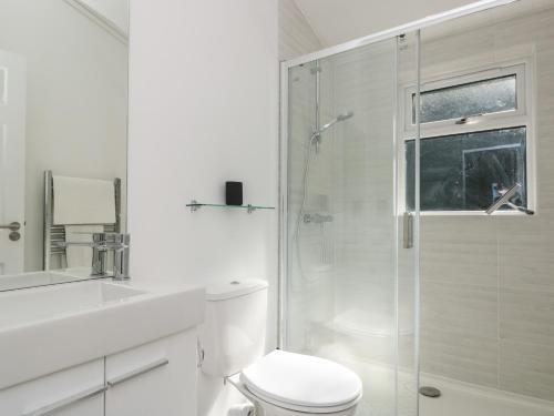 a white bathroom with a toilet and a shower at Bluebell Lodge in Dartmouth