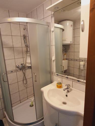 a bathroom with a shower and a sink at Haus Sunny in Vrsi
