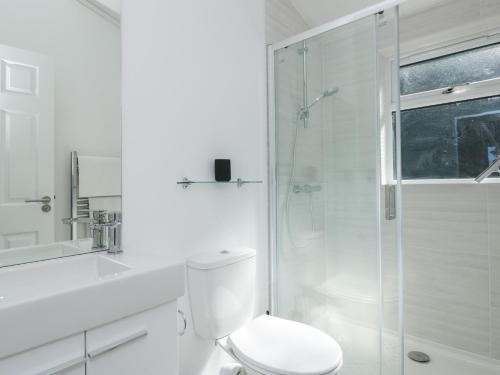 a white bathroom with a toilet and a shower at Buttercup Lodge in Dartmouth