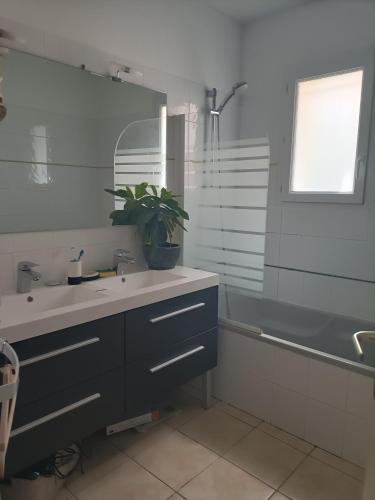 baño con lavabo, bañera y planta en Chambre calme dans une maison à la campagne en Vielmur