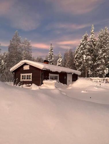 Vintage cabin - Sauna, grill, rural, close to lake & snowmobile trails, skiing v zimě