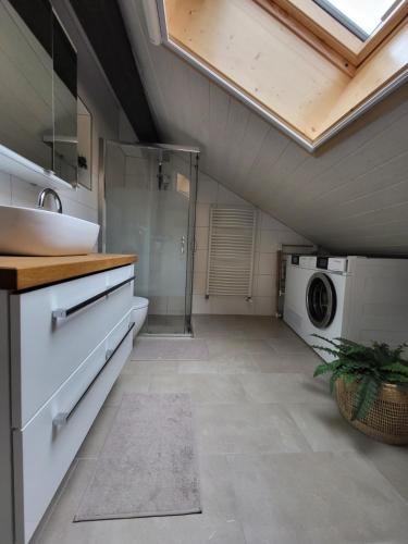 a bathroom with a sink and a washing machine at "La Petite Rochette" in Estavayer-le-Lac