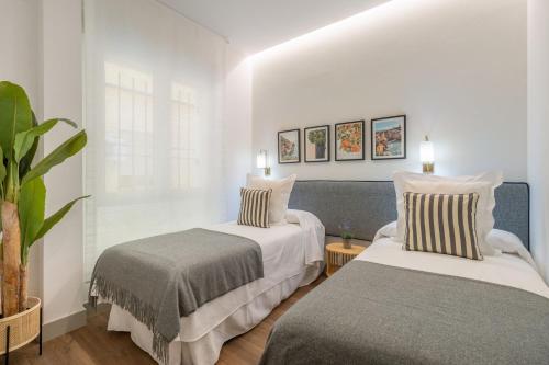een slaapkamer met 2 bedden en een plant bij 2 single beds in Chamberi Quevedo III in Madrid
