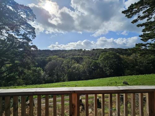 a view of a field from a wooden deck at Two Bedroom Lodge In The Country - Owl, Peacock & Meadow in Liskeard