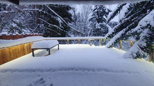 un banco cubierto de nieve en un patio en CHALET LE DAHU "jacuzzi", en La Bresse