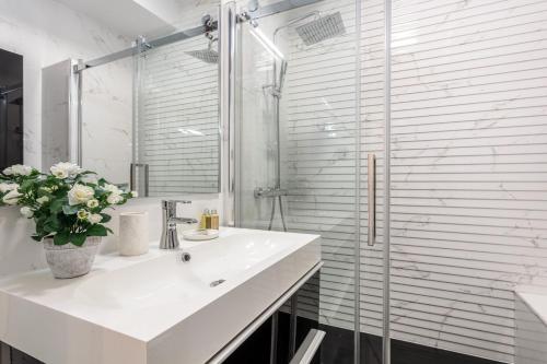 a bathroom with a sink and a glass shower at Paseo del Prado III Museum area for two in Madrid